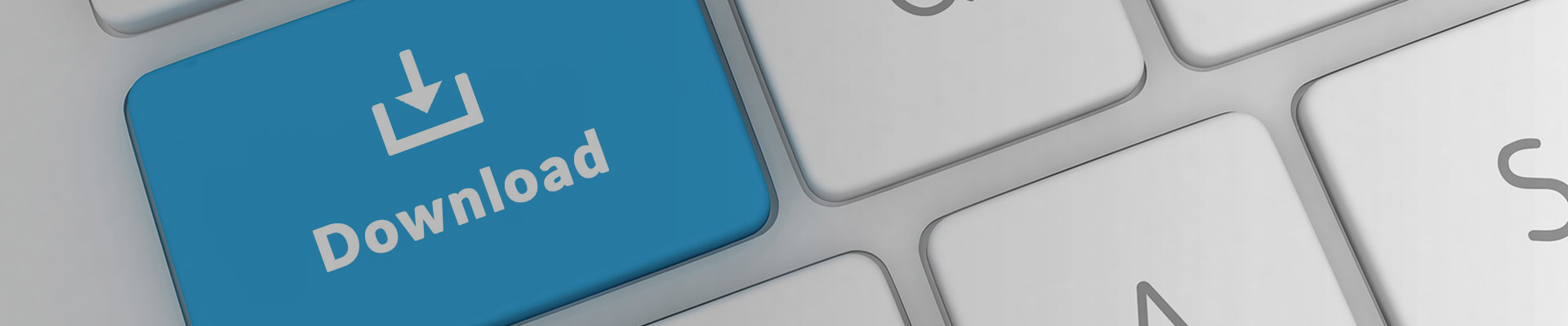 Ningguo Kingcool Import and Export Co. , Ltd.